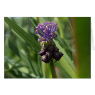 Carte à fleurs violettes