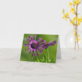 carte à fleurs violettes (Fleur jaune)