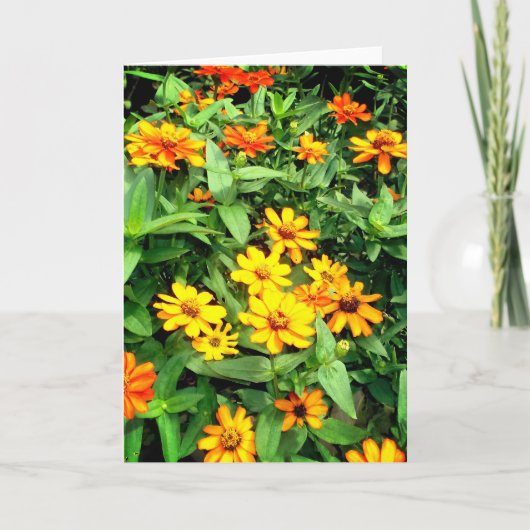 Carte à fleurs Zinnia. Jaune, orange et vert. (Devant)
