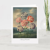 Carte A Group of Carnations — Modern Botanical Reinterpr (Devant)