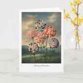 Carte A Group of Carnations — Modern Botanical Reinterpr (Fleur jaune)