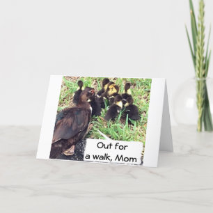 CARTE À LA FAMILLE DES CANARDS DE MOM DIT ENSEMBLE-JOYEU