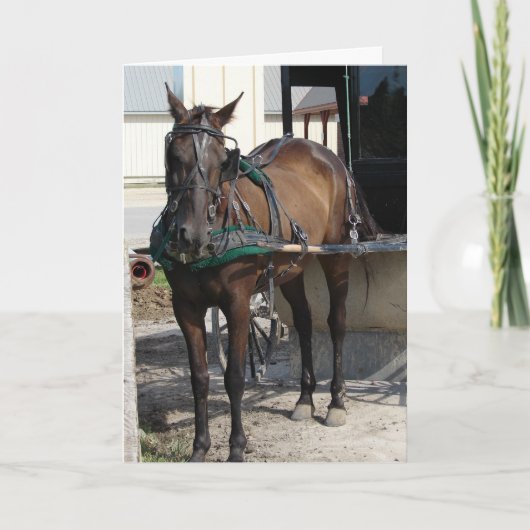 Carte À l'Anniversaire de Hitching Post (Devant)