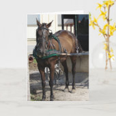 Carte À l'Anniversaire de Hitching Post (Fleur jaune)