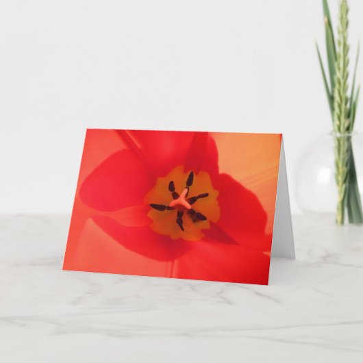 Carte À l'intérieur d'une tulipe (Devant)