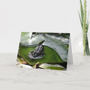 Carte a Little Green Frog