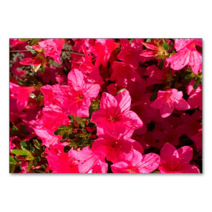 Carte à mémoire à lecture florale de fleurs d'Azal