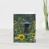 carte à mémoire squirrel (Devant)