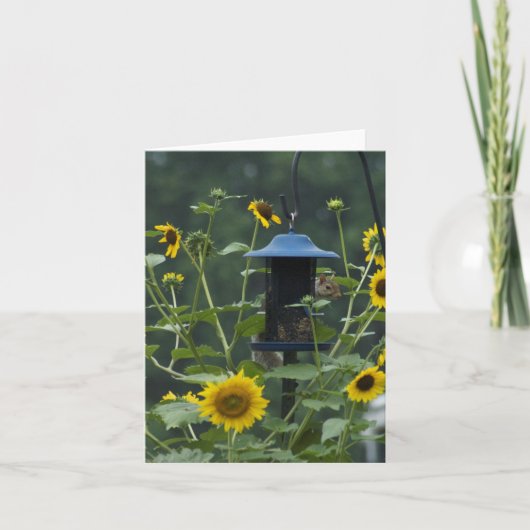 carte à mémoire squirrel (Devant)