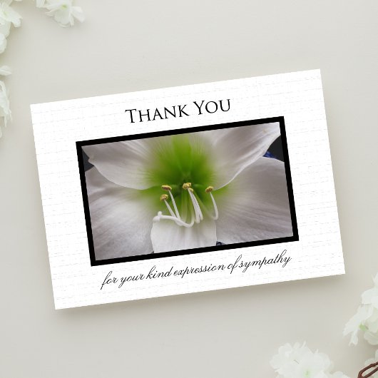 Carte à Merci en Sympathy - Amaryllis