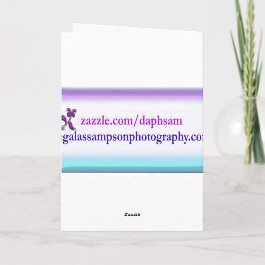 Carte À Mon Ami Spécial Cavalier King Charles Spaniel (Dos)