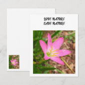 Carte à note plate - - faire-part liée à l'environ (Devant / Derrière)