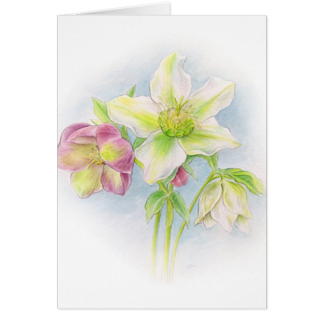 Carte à notes vert rose blanc floral Hellebore (Devant)