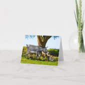 Carte à notes "Young Eno & Henri" (Devant)