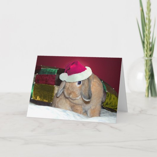 Carte à oreilles 1 de Noël de lapin de Lop (Devant)