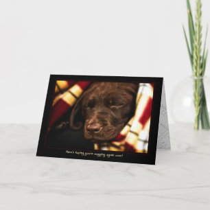 Carte A-PAL -Labrador Retriever Puppy   Obtenir une cart
