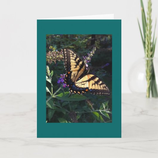 Carte à papillon Swallowtail (Devant)