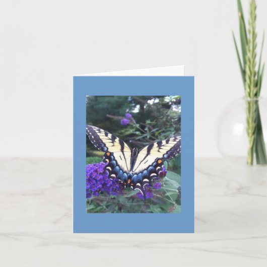 Carte à papillon Swallowtail 2 (Devant)