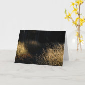 Carte A path through a forest golden grass in sunlight (Fleur jaune)
