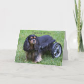 Carte À penser de vous Cavalier King Charles Handicap C (Devant)