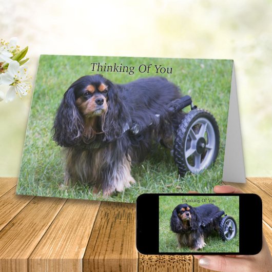 Carte À penser de vous Cavalier King Charles Handicap C