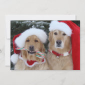 Carte à plat de Noël Golden Retrivers (Devant)