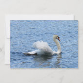 Carte à plat Gracity Swan Photo (Devant)