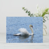 Carte à plat Gracity Swan Photo (Debout devant)