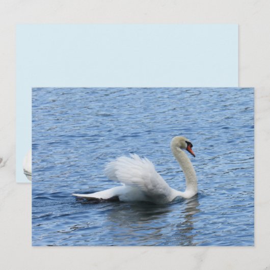 Carte à plat Gracity Swan Photo (Devant / Derrière)