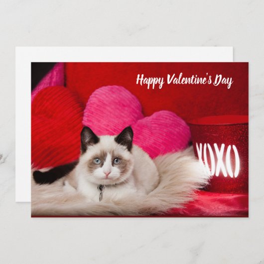 Carte à plat pour chat Heureuse Sainte-Valentin (Devant / Derrière)