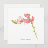 Carte à plat Snapdragon (Devant / Derrière)