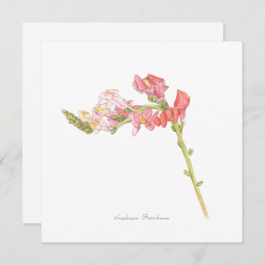 Carte à plat Snapdragon (Devant / Derrière)