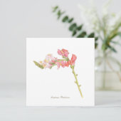 Carte à plat Snapdragon (Debout devant)