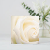 Carte à plat souple Rose (Debout devant)