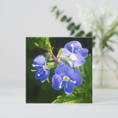 Carte à plat Trois Fleurs Bleues (Debout devant)