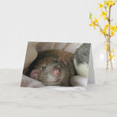 Carte à prix vierge (Fleur jaune)