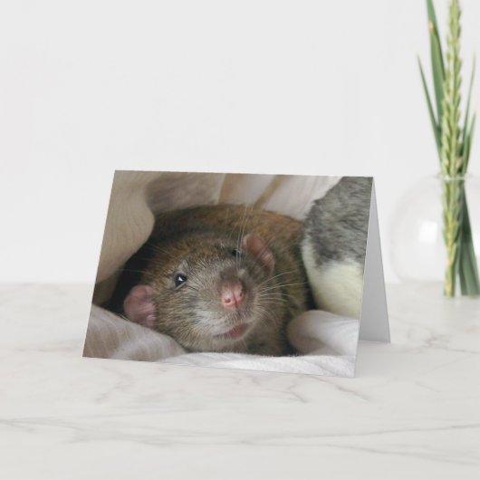 Carte à prix vierge (Devant)