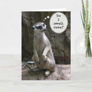 Carte à puce biblique