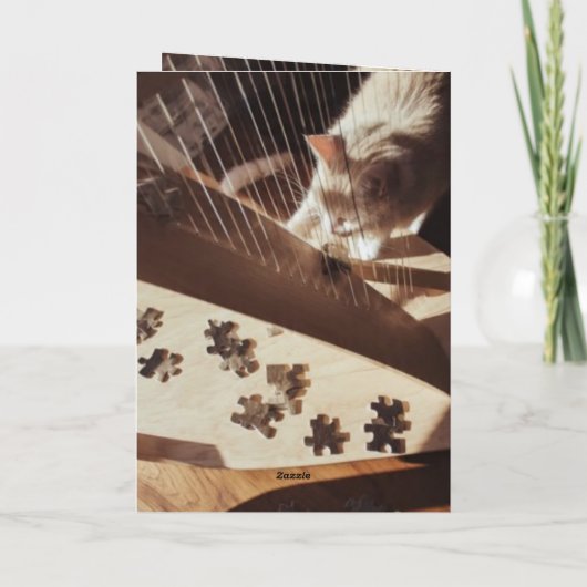 Carte A Quiet Note Between Strings (Dos)