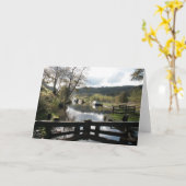 Carte à thème Canal. Vide pour ton propre message. (Fleur jaune)