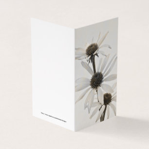 Carte à trois fleurs de cône blanc