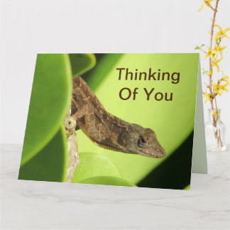 Carte À vos pensées Photo de nature Gecko au repos