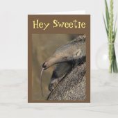 CARTE AARDVARK VA "T'AIMER POUR TOUJOURS" M'EMBRASSER ! (Devant)