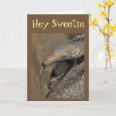 CARTE AARDVARK VA "T'AIMER POUR TOUJOURS" M'EMBRASSER ! (Fleur jaune)