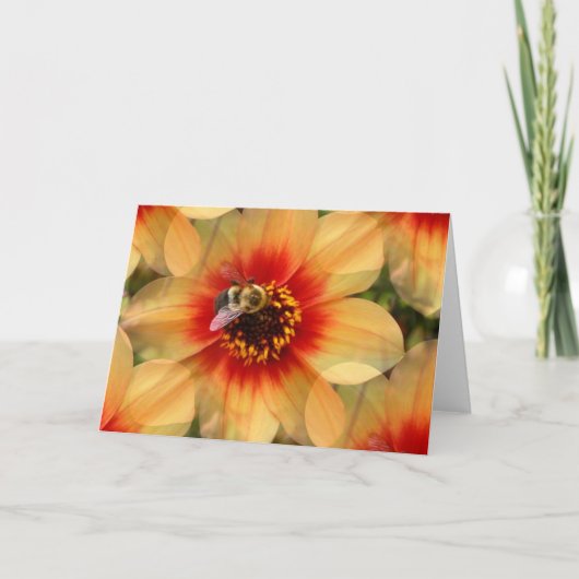 Carte Abee sur Dahlia (Devant)
