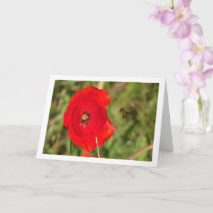 Carte Abeille de miel dans Red Poppy