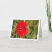 Carte Abeille de miel dans Red Poppy (Devant)