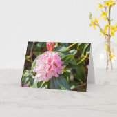 Carte Abeille de miel sur note Rhododendron rose (Fleur jaune)