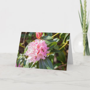 Carte Abeille de miel sur note Rhododendron rose