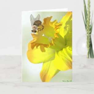 Carte Abeille de ressort